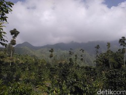 Cerita Warga yang Bantu Evakuasi Korban Heli Basarnas Jatuh