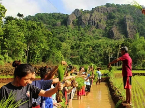 Mau Paket Berlibur Gratis di Desa Wisata Nglanggeran? Ini Caranya