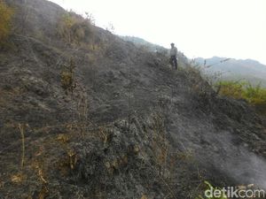 Cegah Kebakaran Hutan, TNI dan Perhutani Sosialisasi Bahaya Api