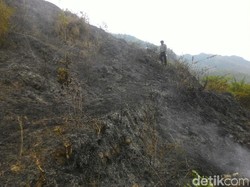 Cegah Kebakaran Hutan, TNI dan Perhutani Sosialisasi Bahaya Api