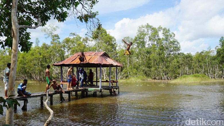 Biras, bak alami di Merauke (Afif/detikTravel)