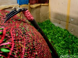 Jokowi: Stok Cabai hingga Gula Pasir Defisit di Beberapa Provinsi