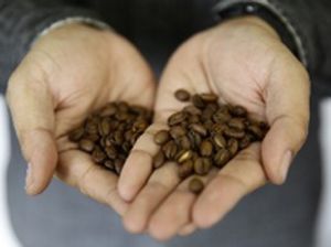 Gerakan Sejuta Cangkir Flores Siap Temani Tour de Flores 2017