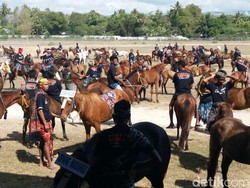 Parade 1.001 Kuda & Festival Tenun Ikat Sumba Akan Dapat Rekor MURI