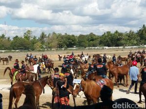 Kehadiran Jokowi, Bentuk Pengakuan Pada Budaya Berkuda di Sumba