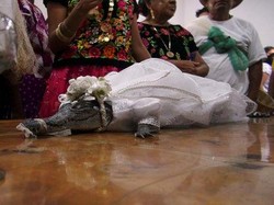 Cerita Pernikahan Aneh di Dunia: Dengan Buaya, Eiffel hingga Truk