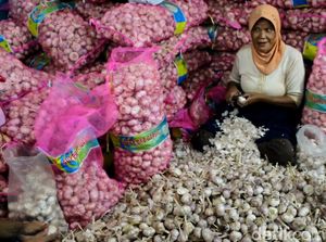 Harga Sayuran dan Daging di Garut Mulai Turun Usai Ramadan