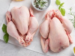 Kenapa Ayam Broiler Paling Cocok untuk Fried Chicken?