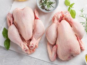 Kenapa Ayam Broiler Paling Cocok untuk Fried Chicken? Kenapa Ayam Broiler Paling Cocok untuk Fried Chicken?
