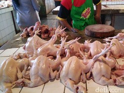 Harga Sembako Jogja Hari Ini 21 November 2025: Daging Ayam-2 Jenis Cabai Naik!