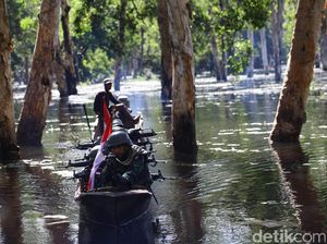 Patroli Bersama Tentara Penjaga Perbatasan RI-PNG di Rawa-rawa Papua