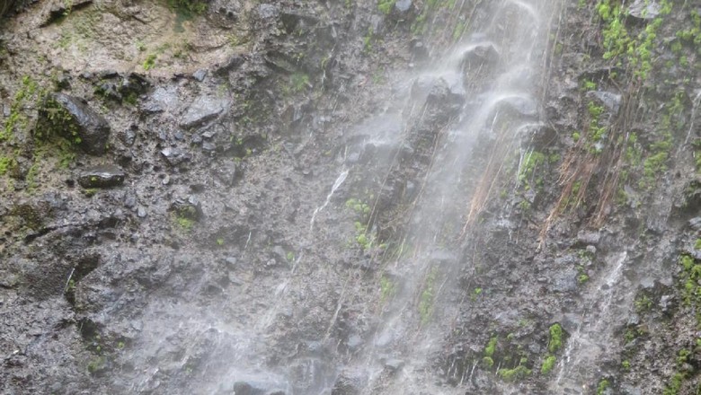 Foto: Ngungun Saok di Sumatera Barat (Maikel Jefriando/detikTravel)