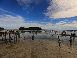 Kini Wisatawan Bisa Lihat Tradisi Tangkap Ikan yang Unik di Biak