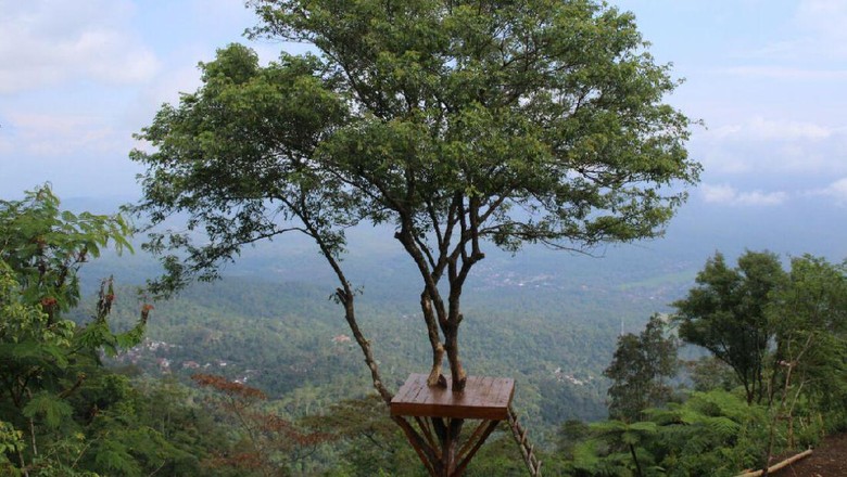 Foto: Wisata Lereng Kelir Semarang (Dok. Ari Kurniawan/Istimewa) Foto: Wisata Lereng Kelir Semarang (Dok. Ari Kurniawan/Istimewa)