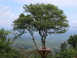 Spot Foto Baru di Joglosemar Bikin Kamu Makin Eksis di Instagram