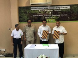 Restorasi Gambut di Wilayah Sumsel Akan Dipercepat