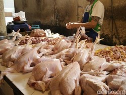 Harga Ayam Naik! Ganti dengan Telur dan Ikan yang Proteinnya Hampir Sama