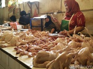 Libur Lebaran Usai, Harga Daging Ayam Turun Libur Lebaran Usai, Harga Daging Ayam Turun