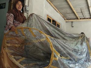 Warga Bantul Temukan Balon Udara Tak Bertuan di Pekarangannya Warga Bantul Temukan Balon Udara Tak Bertuan di Pekarangannya