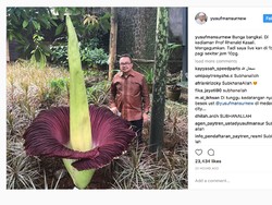 Kagumnya Yusuf Mansur pada Bunga Bangkai Milik Rhenald Khasali