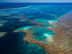 UNESCO Tidak Anggap Great Barrier Reef Terancam