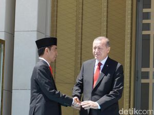 Politikus NasDem: Ketokohan Jokowi Setara Erdogan