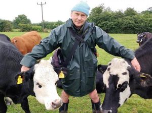 Tak Tega Potong Sapinya, Peternak Vegetarian Ini Pindahkan Sapi ke Cagar Alam