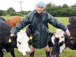 Tak Tega Potong Sapinya, Peternak Vegetarian Ini Pindahkan Sapi ke Cagar Alam