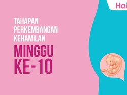 Tahapan Perkembangan Janin: Minggu ke-10