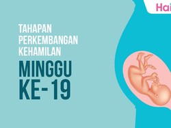 Tahapan Perkembangan Janin: Minggu ke-19