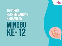Tahapan Perkembangan Janin: Minggu ke-12