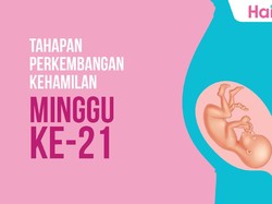 Tahapan Perkembangan Janin: Minggu ke-21