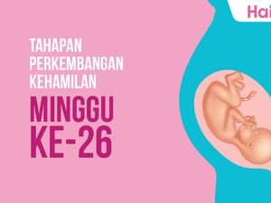 Tahapan Perkembangan Janin: Minggu ke-26