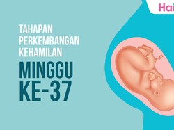 Tahapan Perkembangan Janin: Minggu ke-37
