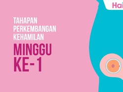 Tahapan Perkembangan Janin: Minggu ke-1
