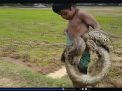 Ramai Video 2 Bocah Asia Pemburu Ular