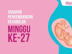 Tahapan Perkembangan Janin: Minggu ke-27