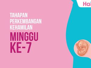 Tahapan Perkembangan Janin: Minggu ke-7