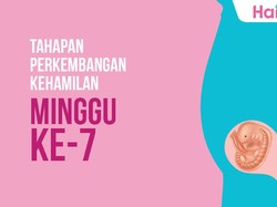 Tahapan Perkembangan Janin: Minggu ke-7