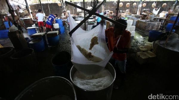 Begini Proses Pembuatan Tahu