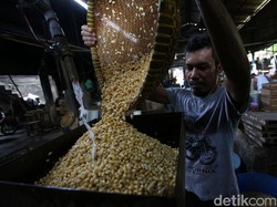 RI Kejar Swasembada Kedelai, Ini Tantangannya