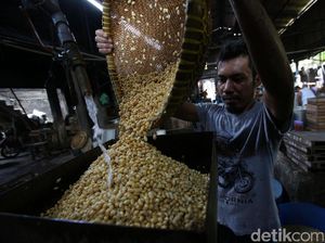 RI Kejar Swasembada Kedelai, Ini Tantangannya RI Kejar Swasembada Kedelai, Ini Tantangannya