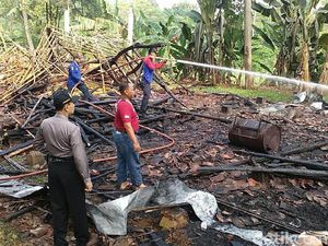 Kandang Terbakar, 4 Ribu Ayam Terpanggang di Batang Kandang Terbakar, 4 Ribu Ayam Terpanggang di Batang