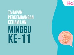 Tahapan Perkembangan Janin: Minggu ke-11