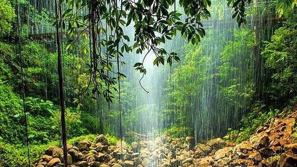 Foto: Aneka Destinasi Cantik Australia yang Tersembunyi