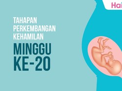 Tahapan Perkembangan Janin: Minggu ke-20