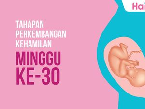 Tahapan Perkembangan Janin: Minggu ke-30