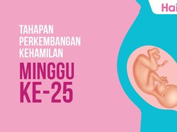 Tahapan Perkembangan Janin: Minggu ke-25