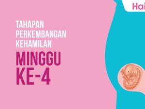 Tahapan Perkembangan Janin: Minggu ke-4