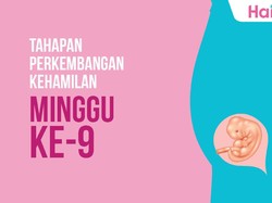 Tahapan Perkembangan Janin: Minggu ke-9
